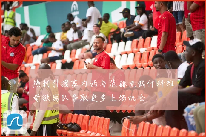 热刺引援塞内西与范赫克武什科维奇欲离队争取更多上场机会