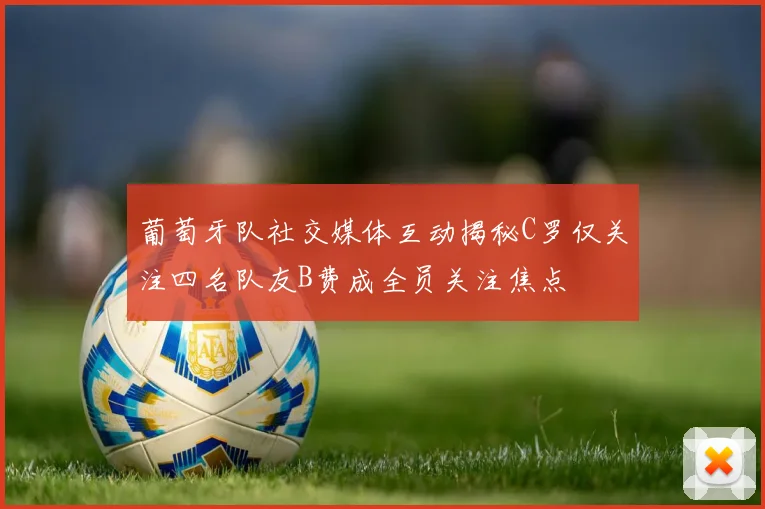 葡萄牙队社交媒体互动揭秘C罗仅关注四名队友B费成全员关注焦点