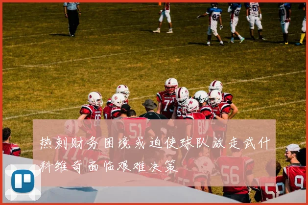 热刺财务困境或迫使球队放走武什科维奇面临艰难决策